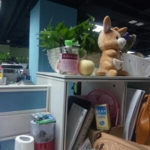 自动化测试专用