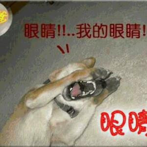 lil错过