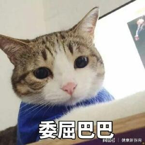 恰那