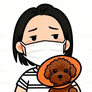 密斯韩