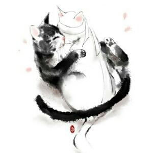 茉莉花茶的清香