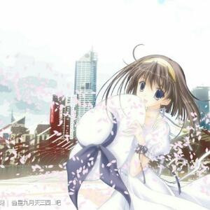 诺枫