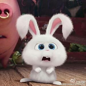 愿无岁月可回头