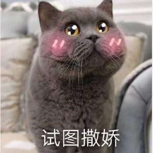 栖栖默_