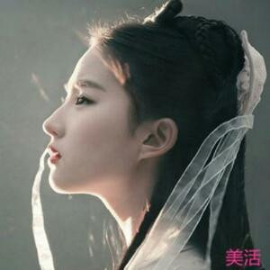 有一美人兮