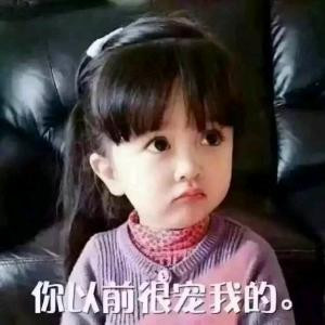 撒欢的猫儿