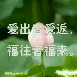 安安