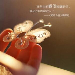 错过的放弃