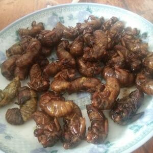小样貌