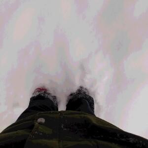 露露100