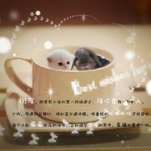 爱悦