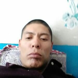 书痴