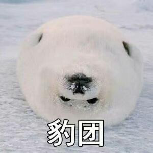 止于