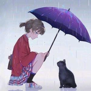 南风如苔