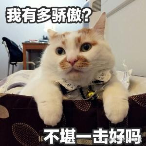 晨大大吖