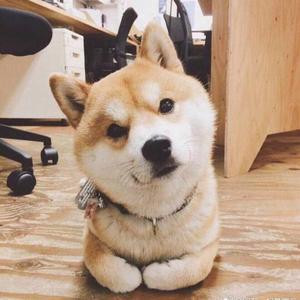 要变优秀啊i