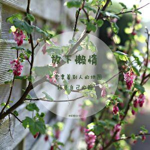幽静阅读