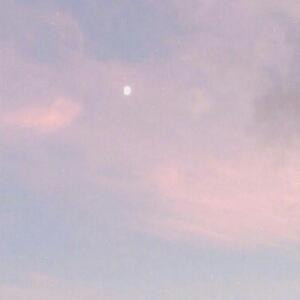 夕榄