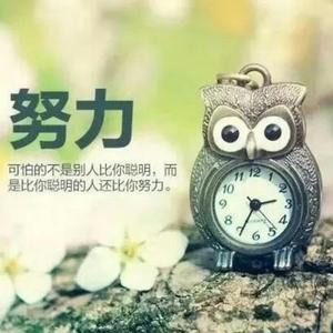 一只孤独的灵魂