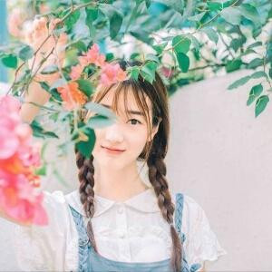 沉睡中的花朵