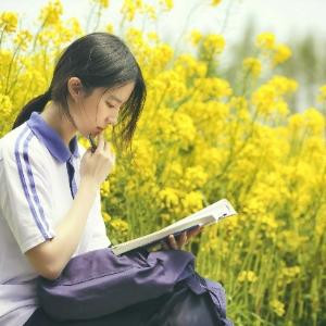 梦里不知身是客