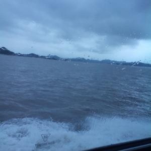 笑得太傻太忧伤