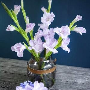 苹果