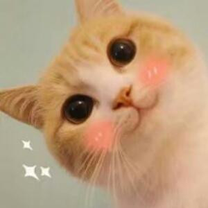 爱笑的猫