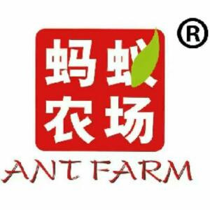 蚂蚁农场青汁