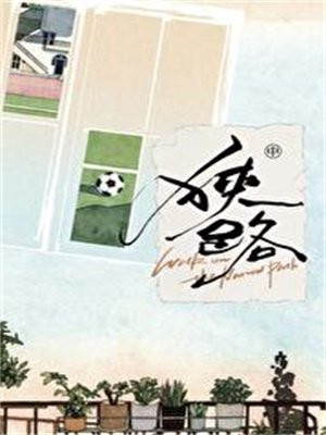 狭路(虞书欣、陈靖可主演灿如繁星原著 )