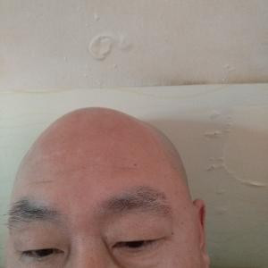 孙颂德
