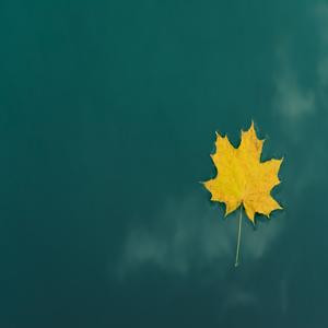 一身公主命