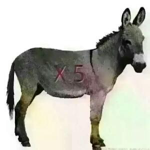 潇洒小哥