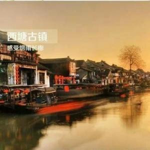 夏日凉橙