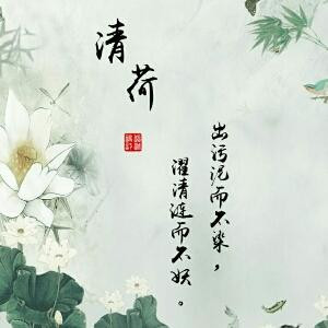 轻舞飞扬