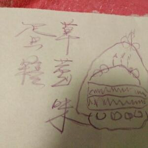 浅浅