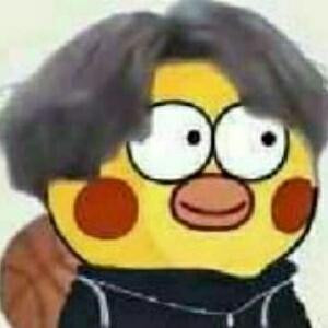 柯柯