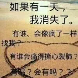 没芯没肺