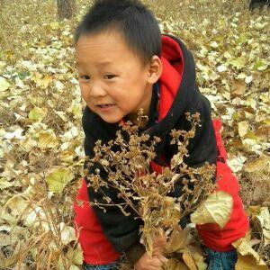 龙爷