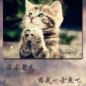 巴黎半夏