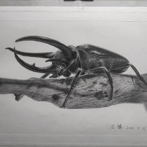 欧阳龙腾