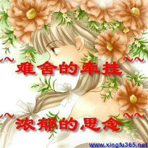 云飞