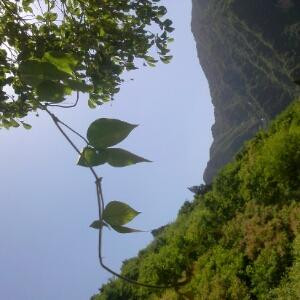 小艳060606