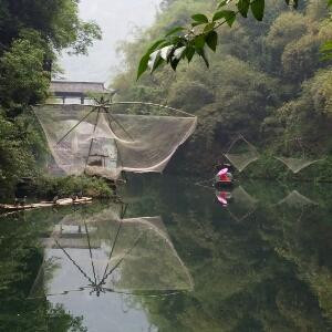 梨花溶月