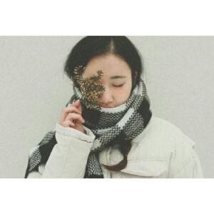 未完的歌