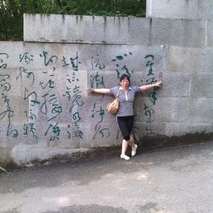 抓狂小白