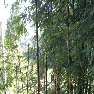 还能在一起多久