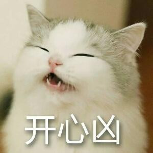 喵大人的小跟班