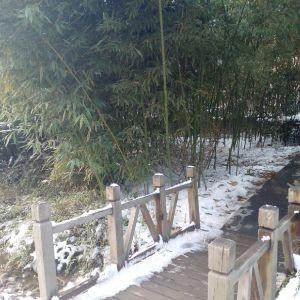 雪落无声