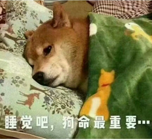 末世之异能进化